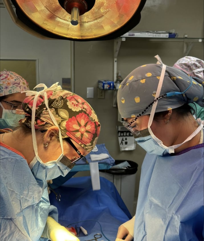 Operating room team during a procedure